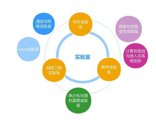 網絡如山勤思為徑，信息似海安全作舟——浙師教授談網絡工程與網絡安全專業